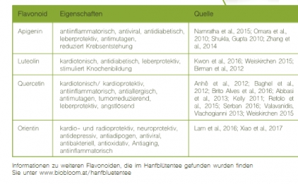 Bio Hanftee Teebox mit 20 Teebeutel